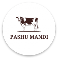 Pashu Mandi - Cattle Bazaar