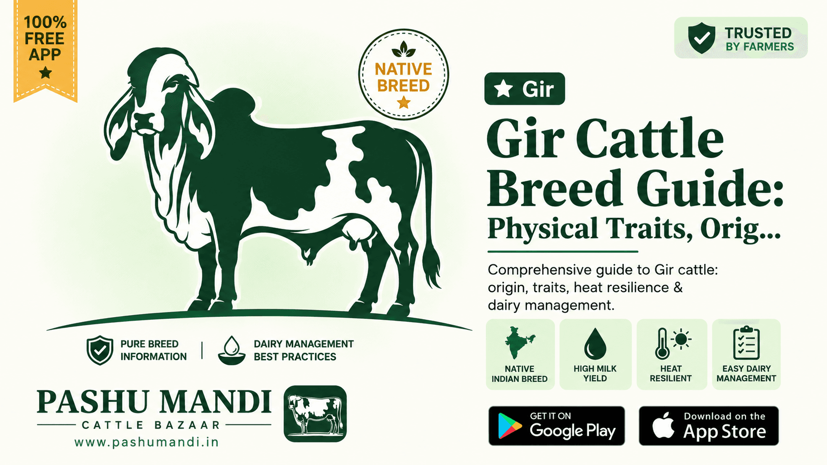 Gir Cattle Breed Guide: Physical Traits, Origin, Heat Resilience & Dairy Management