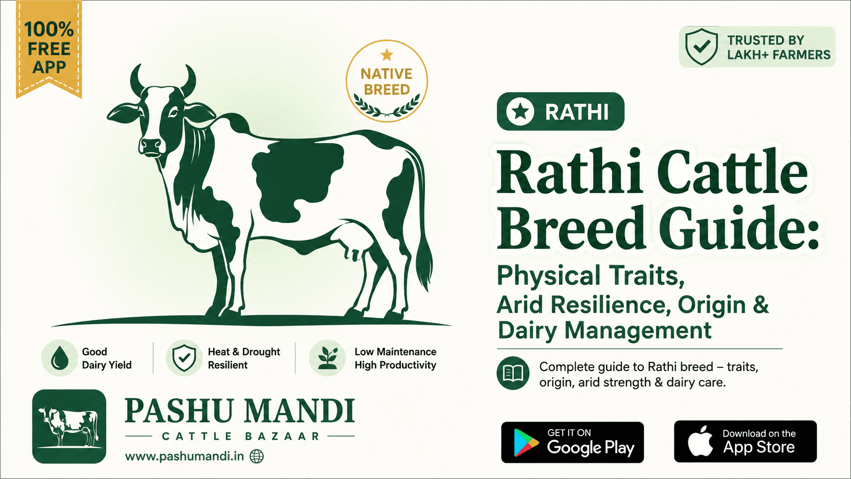Rathi Cattle Breed Guide: Physical Traits, Arid Resilience, Origin & Dairy Management