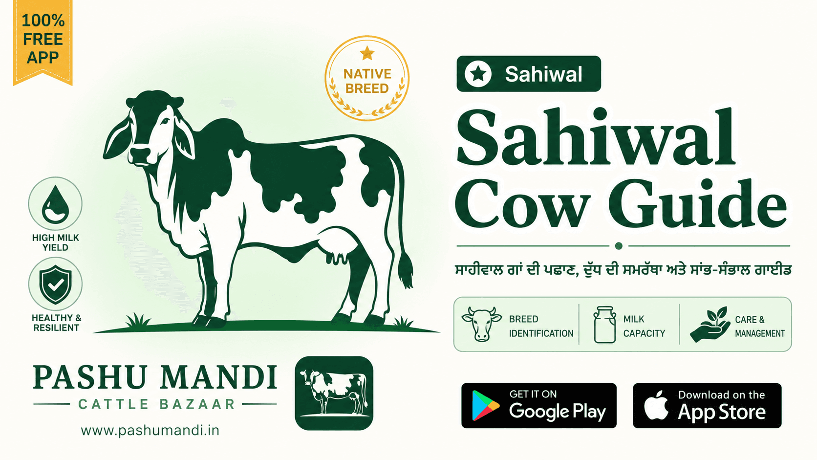 ਸਾਹੀਵਾਲ ਗਾਂ ਦੀ ਪਛਾਣ, ਦੁੱਧ ਦੀ ਸਮਰੱਥਾ ਅਤੇ ਸਾਂਭ-ਸੰਭਾਲ ਗਾਈਡ