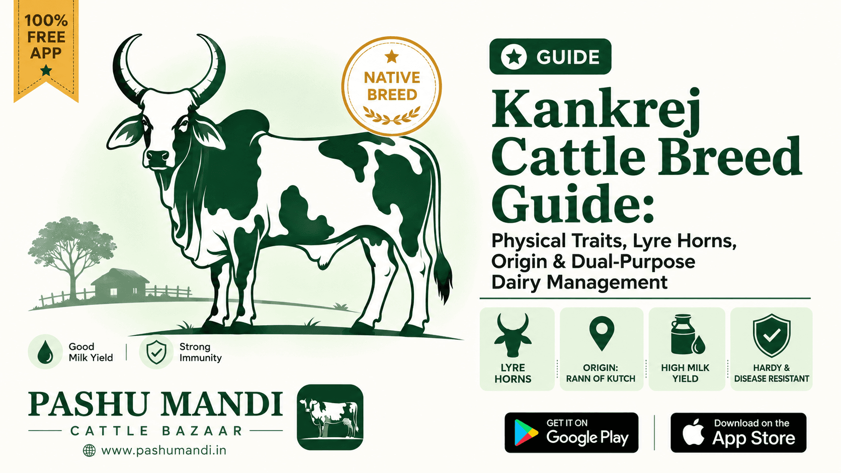 Kankrej Cattle Breed Guide: Physical Traits, Lyre Horns, Origin & Dual-Purpose Dairy Management