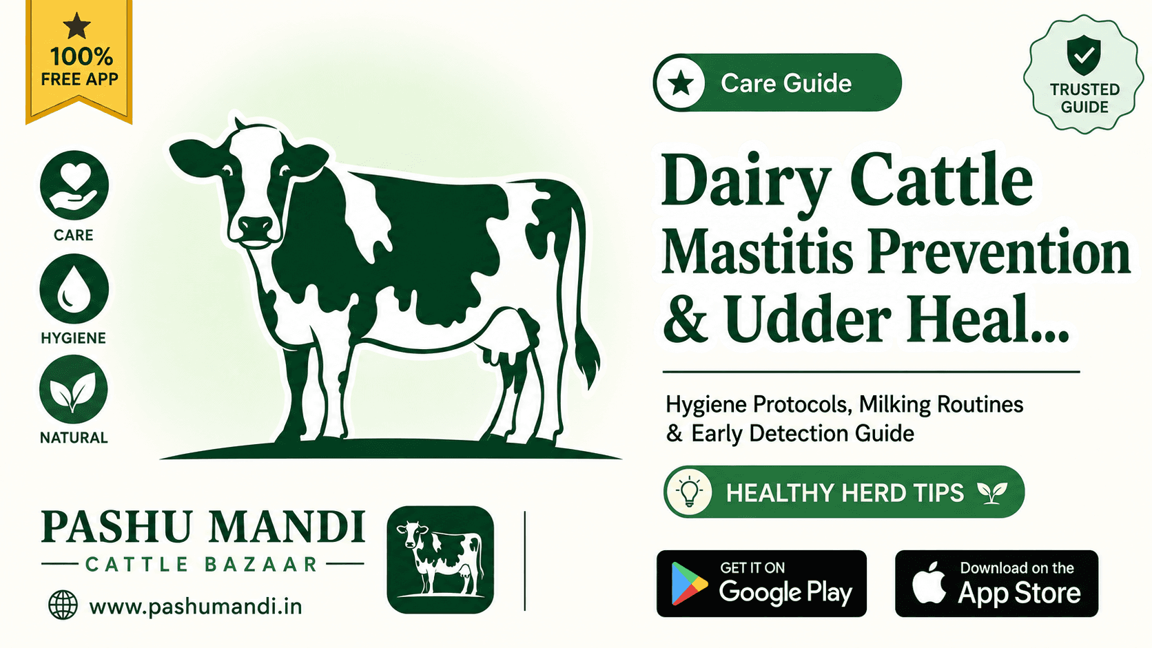 Dairy Cattle Mastitis Prevention & Udder Health: Hygiene Protocols, Milking Routines & Early Detection Guide