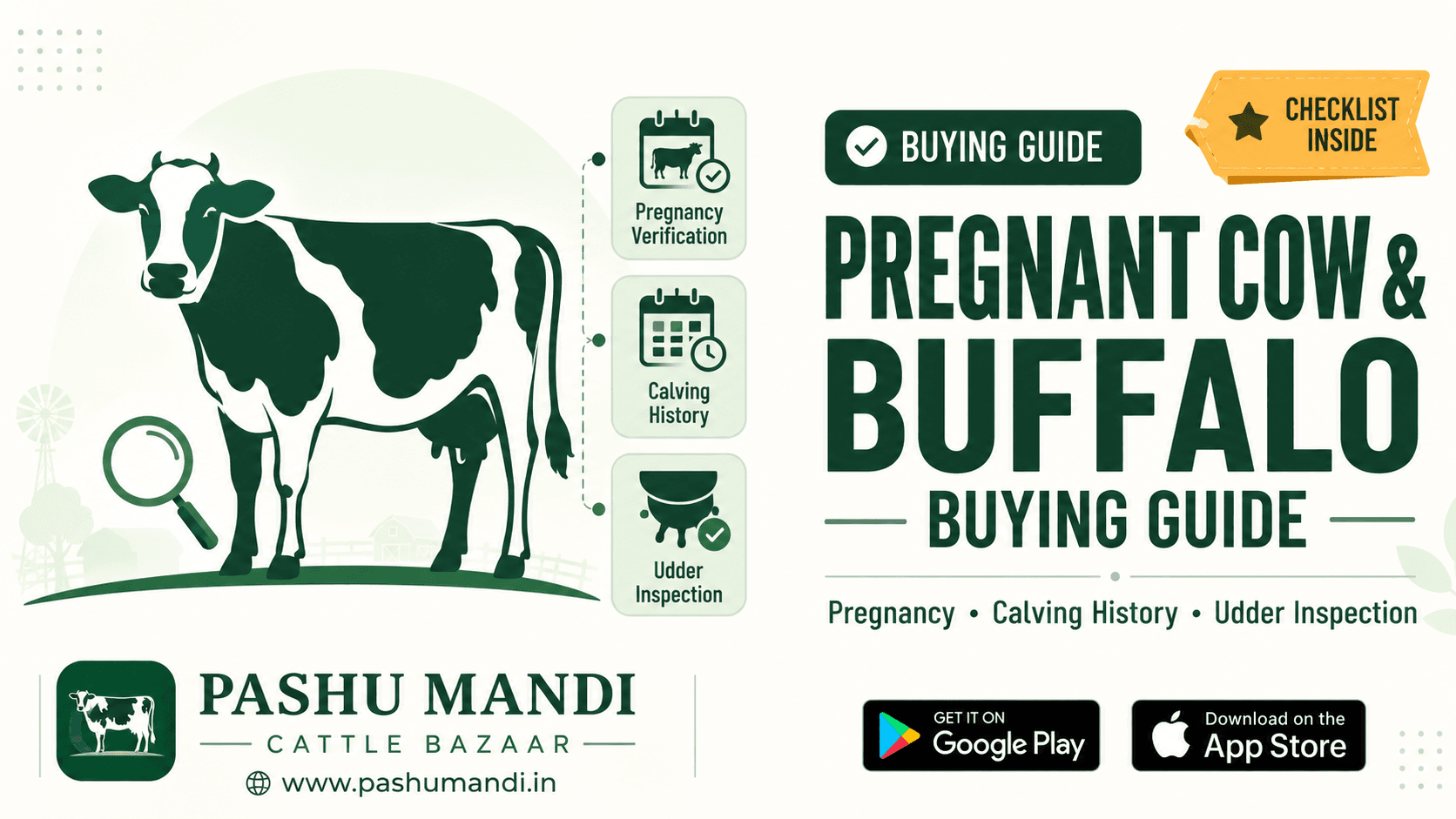Pregnant Cow & Buffalo Buying Guide: Pregnancy Verification, Calving History & Udder Inspection