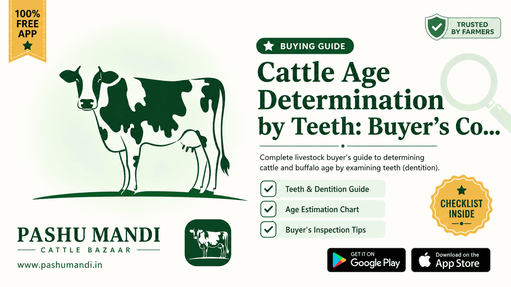 Cattle Age Determination by Teeth: Buyer's Complete Dentition & Inspection Guide