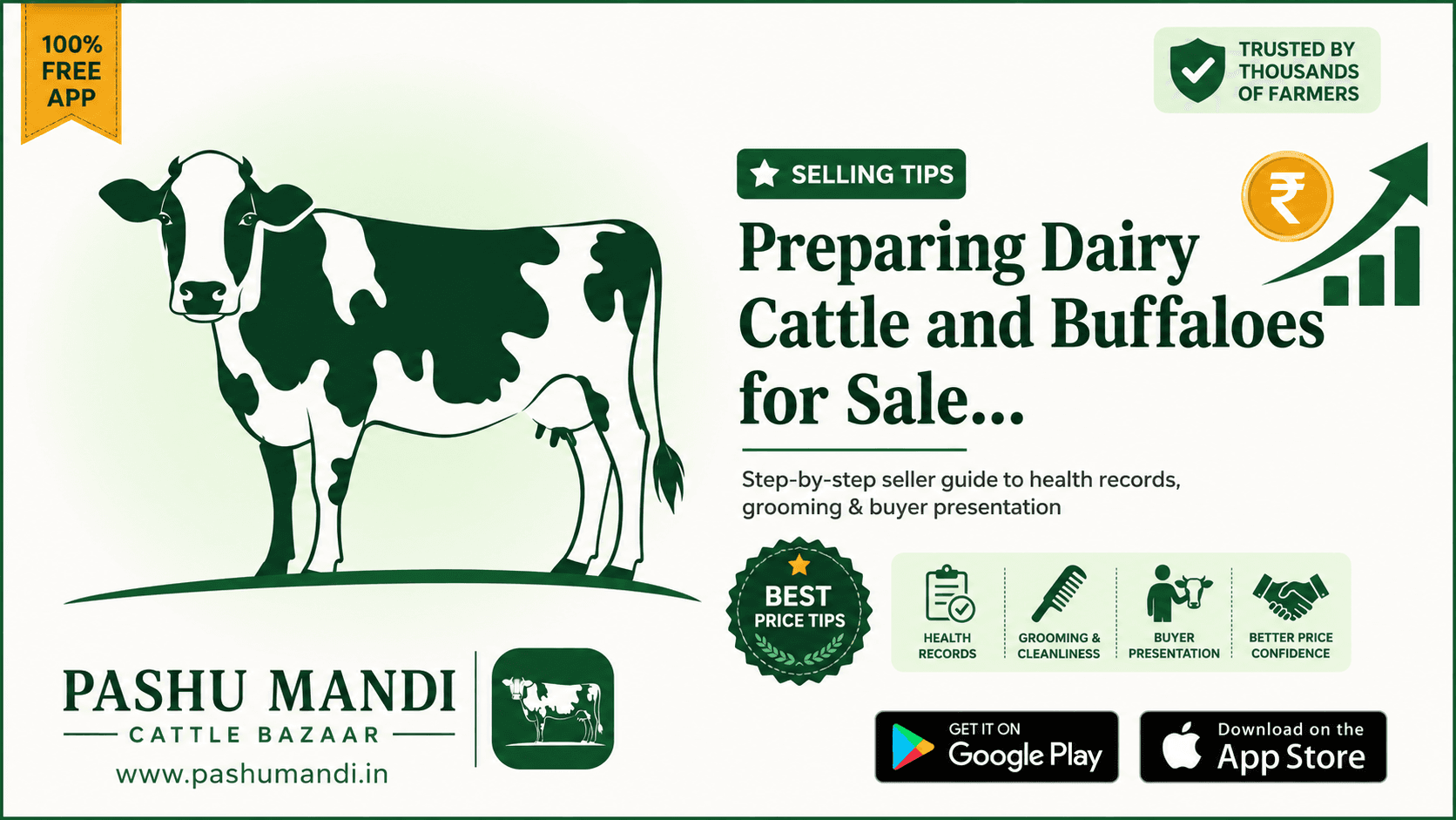 Preparing Dairy Cattle and Buffaloes for Sale: Pre-Sale Health Records, Grooming & Buyer Presentation Guide