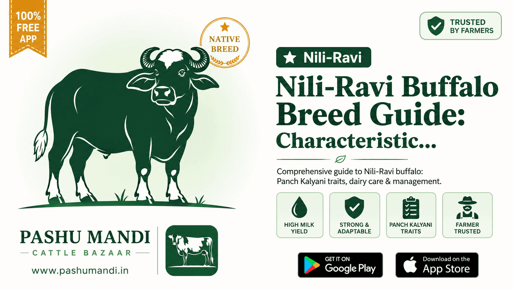 Nili-Ravi Buffalo Breed Guide: Characteristics, Panch Kalyani Traits & Dairy Care