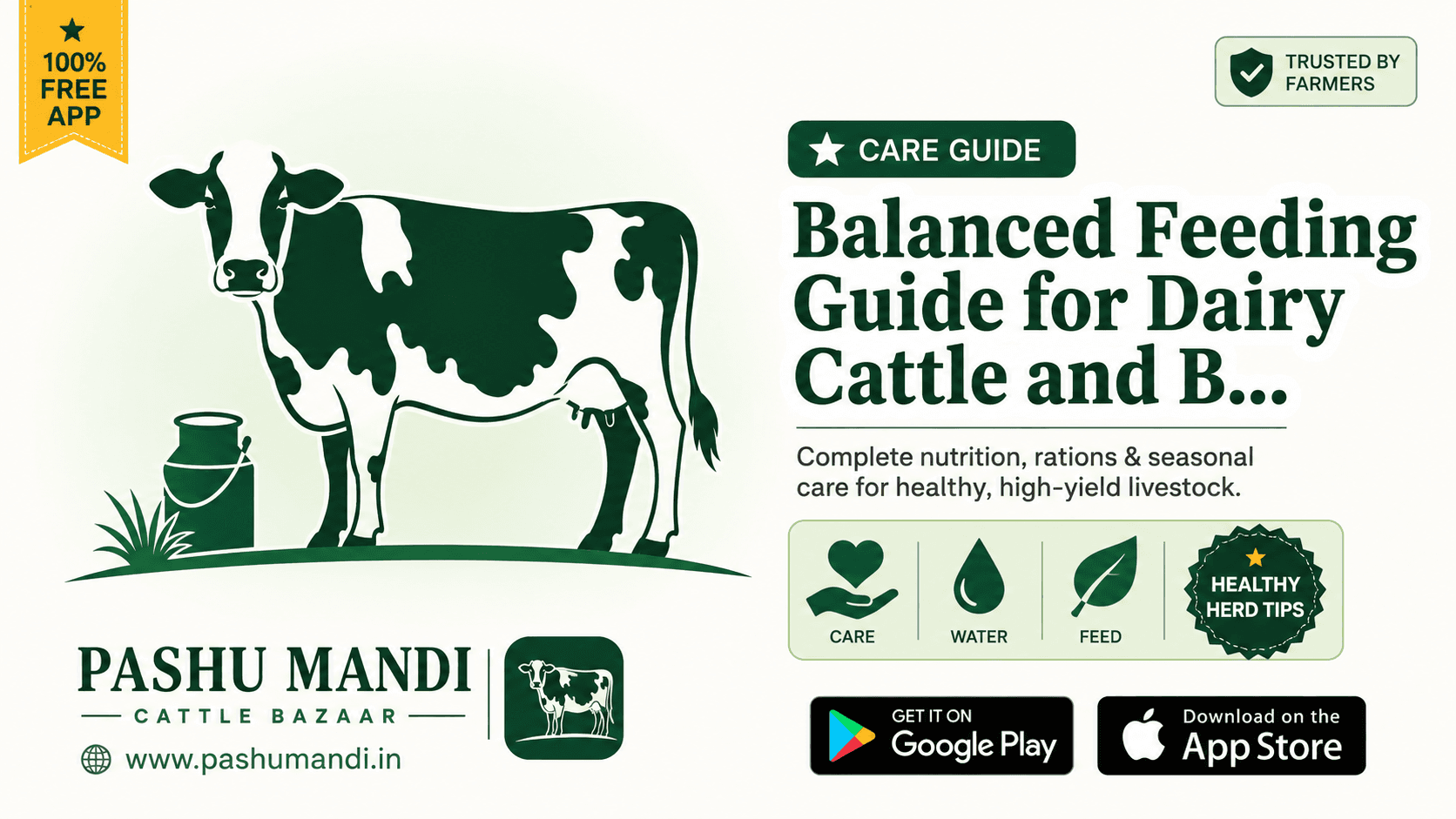 Balanced Feeding Guide for Dairy Cattle and Buffaloes: Nutrition, Rations & Seasonal Care