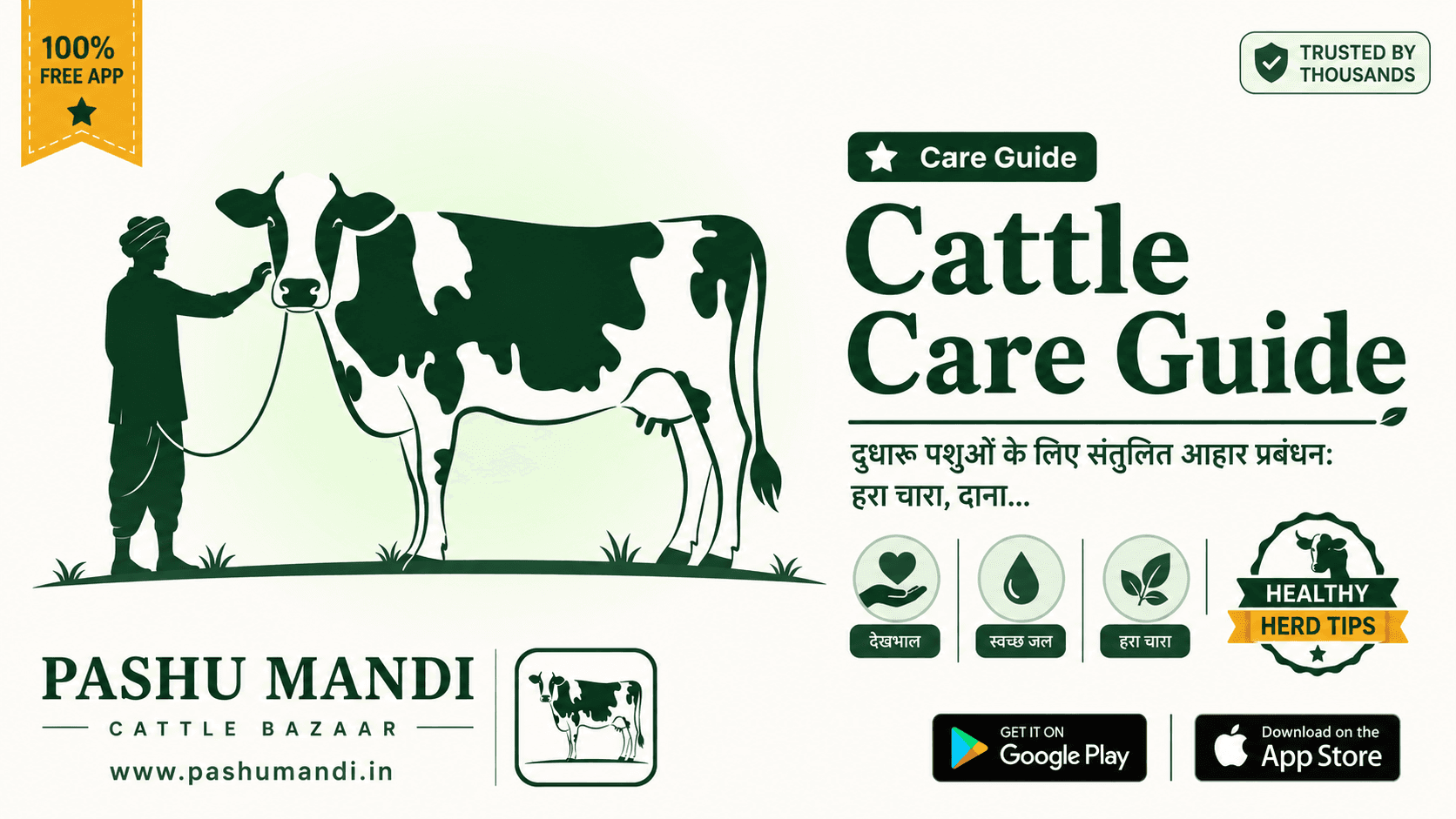 दुधारू पशुओं के लिए संतुलित आहार प्रबंधन: हरा चारा, दाना और पोषण गाइड