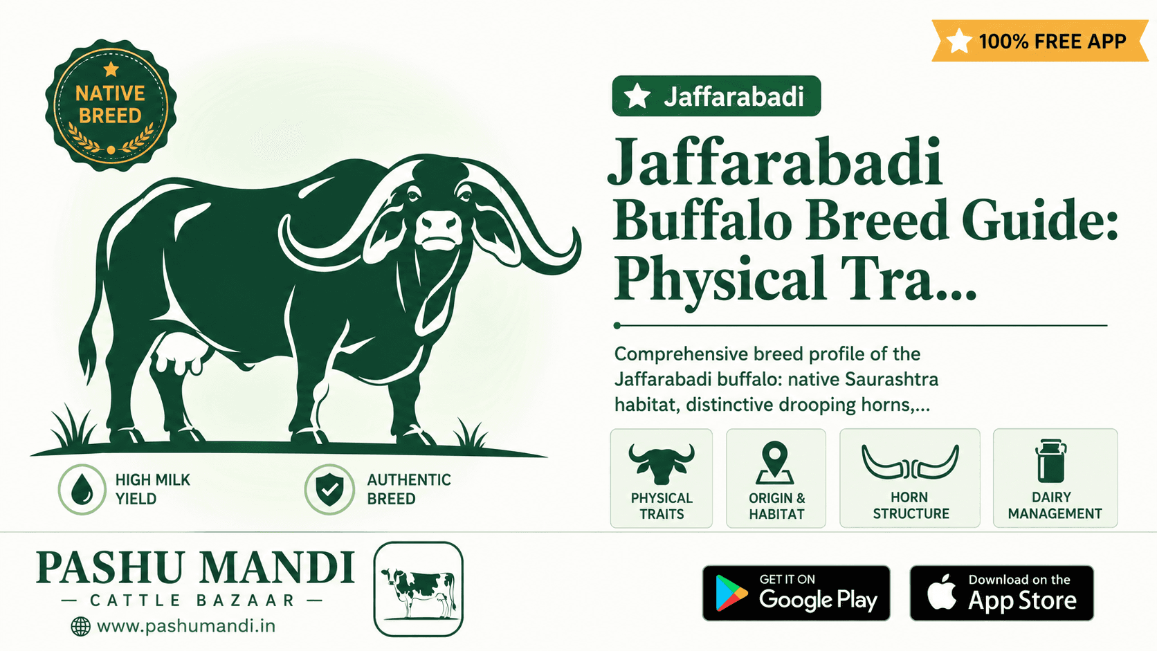 Jaffarabadi Buffalo Breed Guide: Physical Traits, Origin, Horn Structure & Dairy Management Guide